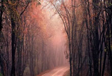 如何在线直播观看CBA？CBA直播吧靠谱吗？