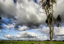 24足球直播吧是什么？球迷该如何正确使用这类平台？