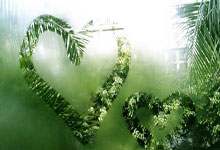 那不勒斯主帅为何突然下课？背后藏着哪些关键因素？